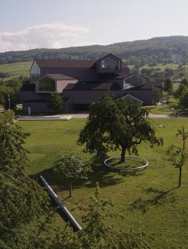 Inga des ruisseaux  Espace pour la vie